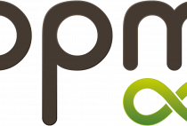 Post-Petroleum Materials (PPM) among the 7 major research programs (GPR label) selected by the University of Bordeaux for funding thumbnail