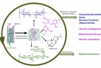 Synthesis of Synthons by Controlled Depolymerisation of Lignocellulosic Biomass figure