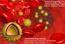 Functional biomaterials & nanomedicine figure