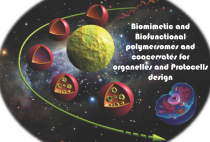 Design of artificial organelles and cells figure