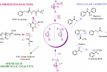 Metal-free approaches in polymerization catalysis figure