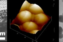 Polymerization in Dispersed Media figure