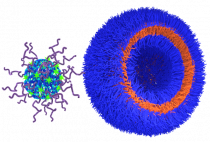 Macromolecular self-assembly figure