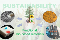 Functional bio-based Materials and Sustainability figure