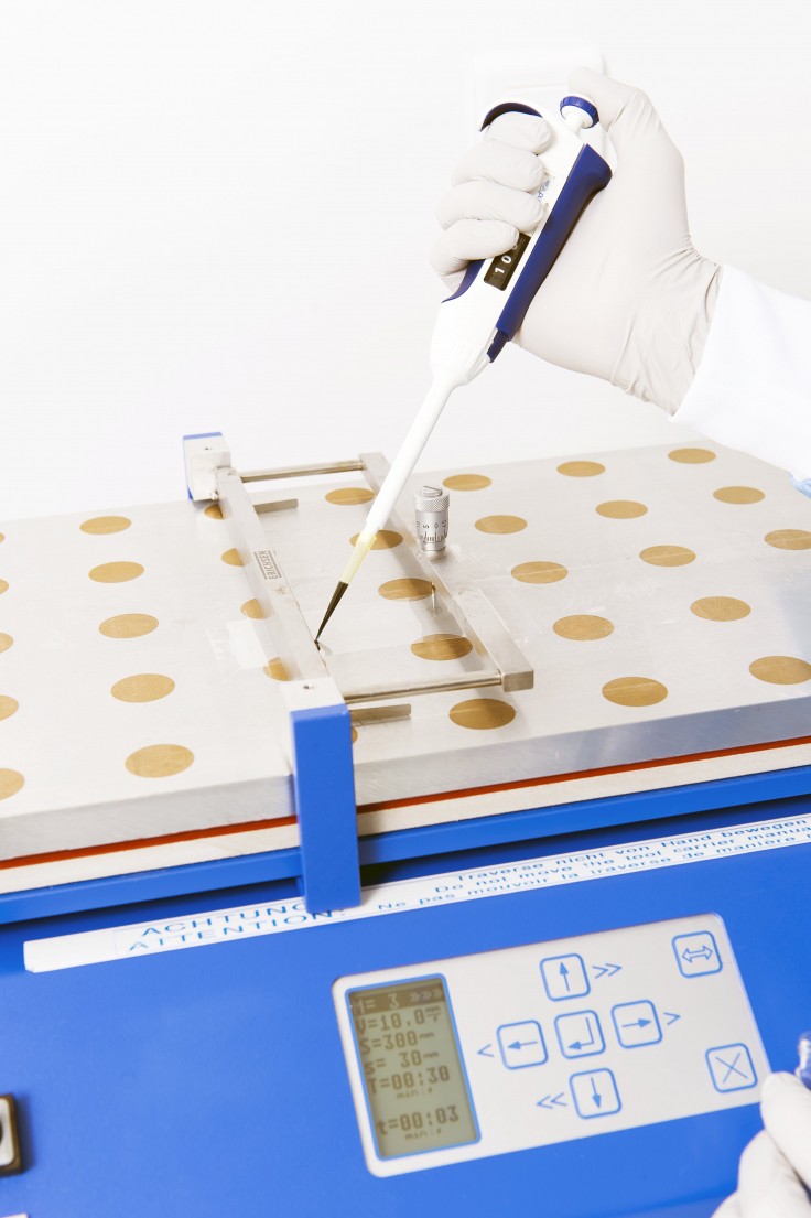 Electronic and optoelectronic devices fabrication and characterization