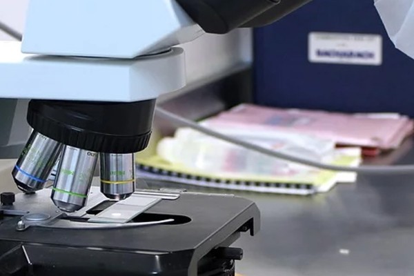 Polymers and Environment