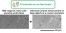 The quest for contrast in digital images of micro-nano structured polymer blends before and after CO2 foaming: General interest of directional diffusive filtering for edge enhancement figure