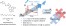 The Multifaceted Role of Water as an Accelerator for the Preparation of Isocyanate-Free Polyurethane Thermosets figure