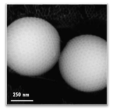 Ph.D. in Colloidal and Polymer Self-Assembly figure