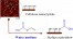 A Sustainable approach for the Direct Functionalization of Cellulose Nanocrystals Dispersed in Water by Transesterification of Vinyl Acetate figure