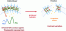 Embedding of superparamagnetic iron oxide nanoparticles into membranes of well-defined poly(ethylene oxide)-block-poly(ε-caprolactone) nanoscale magnetovesicles as ultrasensitive MRI probes of membrane bio-degradation figure