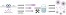 The Effect of Formulation and Processing Parameters on the Size of mPEG-b-p(HPMA-Bz) Polymeric Micelles figure