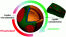 Modulation of phase separation at micron scale and nanoscale in hybrid polymer/lipid giant unilamellar vesicles (GHUVs) figure