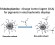 Tridodecylamine, an efficient charge control agent in non-polar media for electrophoretic inks application figure