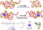 Hyaluronic acid presentation at the surface of self‐assembled nanoparticles transforms a hyaluronidase HYAL1 substrate into an efficient and selective inhibitor figure