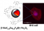 Polyol-Made Luminescent and Superparamagnetic β-NaY0.8Eu0.2F4@γ-Fe2O3 Core-Satellites Nanoparticles for Dual Magnetic Resonance and Optical Imaging figure