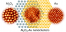 Large area Al2O3-Au raspberry-like nanoclusters from iterative block-copolymer self-assembly figure