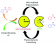 Reversible ionically-crosslinked single chain nanoparticles as bioinspired and recyclable nanoreactors for N -heterocyclic carbene organocatalysis figure