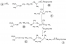 Cationic polymerization of isoprene using CF 3 COOD/TiCl 4 initiating system: A new view on the polymerization mechanism figure