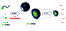 Thermosensitive polynorbornene poly(ethylene oxide) nanoparticles loaded with oligoDNAs: an innovative approach for acting on cancer-associated pain figure