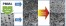 Temperature influence and CO2 transport in foaming processes of poly(methyl methacrylate)-block copolymer nanocellular and microcellular foams figure