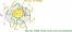 Nanocellular CO2 foaming of PMMA assisted by block copolymer nanostructuration figure