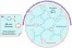 One-Pot Synthesis and PEGylation of Hyperbranched Polyacetals with a Degree of Branching of 100% figure