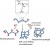 Aldehyde-functional copolymers based on poly(2-oxazoline) for post-polymerization modification figure