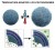 Thermosensitive vesicles from chemically encoded lipid-grafted elastin-like polypeptides. figure