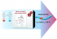 A chiral thiourea and a phosphazene for fast and stereoselective organocatalytic ring-opening-polymerization of racemic lactide figure