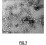 Stimuli- oder bioreaktive Copolymere, Polymersome damit und Verwendung bei der Arzneimittelabgabe figure