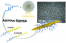 Aqueous ROPISA of α-amino acid N -carboxyanhydrides: polypeptide block secondary structure controls nanoparticle shape anisotropy figure