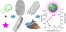 Assembly of Fluorescent Polymer Nanoparticles Using Different Microfluidic Mixers. figure