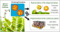 New Insights into the Formulation and Polymerization of Pickering Emulsions Stabilized by Natural Organic Particles figure