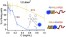 Photosensitizer localization in amphiphilic block copolymers controls photodynamic therapy efficacy figure