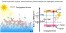 Organic Conjugated Trimers with Donor–Acceptor–Donor Structures for Photocatalytic Hydrogen Generation Application figure