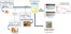 Effect of oleic acid on the release of tetrahydrocurcumin in chitosan-based films figure