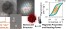 Structure-Function Relationship of Iron Oxide Nanoflowers: Optimal Sizes for Magnetic Hyperthermia Depending on Alternating Magnetic Field Conditions figure