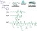 Polypeptide‐ and Protein‐Based Conjugate Nanoparticles via Aqueous Ring‐Opening Polymerization‐Induced Self‐Assembly (ROPISA) figure
