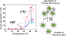 Transcription-Factor-Induced Aggregation of Biomimetic Oligonucleotide--Protein Micelles. figure