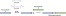 Click chemistry for block polysaccharides with dihydrazide and dioxyamine linkers - A review figure