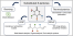 Sourcing, thermodynamics, and ring-opening (co)polymerization of substituted δ-lactones: a review figure