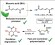An Expedient Route to Bio‐Based Polyacrylate Alternatives with Inherent Post‐Chemical Modification and Degradation Capabilities by Organic Catalysis for Polymerization of Muconate Esters figure
