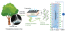 All Wood‐Based Water Evaporation‐Induced Electricity Generator figure