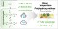 Efficient room-temperature synthesis of crosslinked polyhydroxyurethanes from 5-membered cyclic carbonates without solvent or catalyst figure