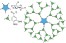 Bioinspired Design and Synthesis of Polyphenolic Star‐Like and Hyperbranched Polyester Models figure